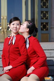 模特禮儀服務 職業形象塑造與專業價值解析